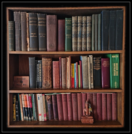 Old Mr Foyle's interesting bookcase
